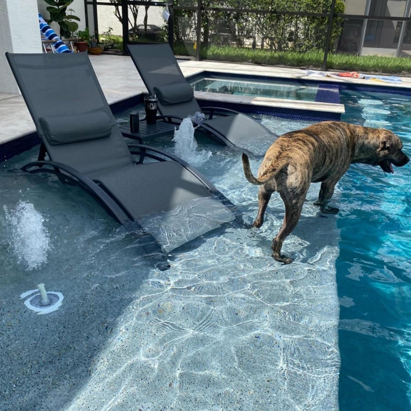 Pool Chaise Lounge Set of 3